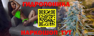 спиды Кандалакша