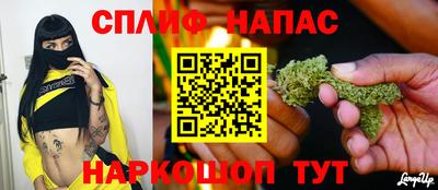гашик Камышлов