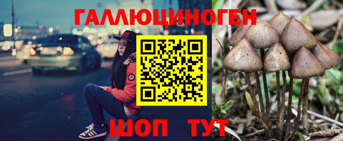 Псилоцибиновые грибы ЛСД Ярославль