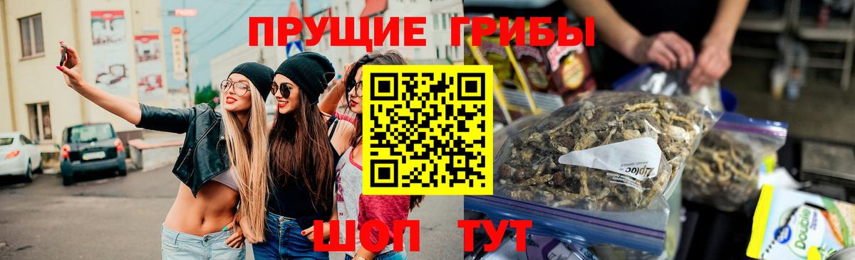 Псилоцибиновые грибы GOLDEN TEACHER  Вход с VPN  Ярославль 